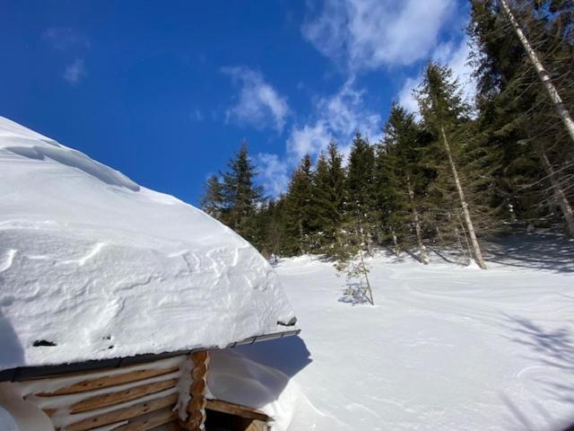 Alpenchalet Grabner Alm am Präbichl Almhauser Eksteriør billede